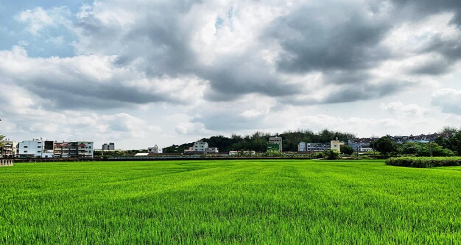 Puravankara Tree Haven Plots banner